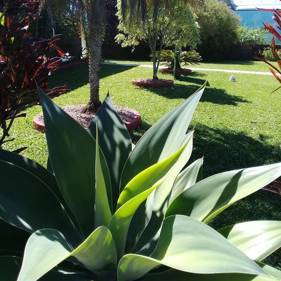 Ecohostel Dos Canyons Santa Catarina Praia Grande  Eksteriør bilde